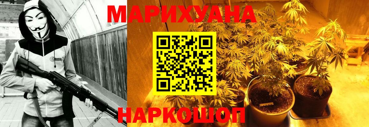 Конопля гибрид  Вход с VPN  Канабис планчик  Бошки Шишки планчик  Черкесск 