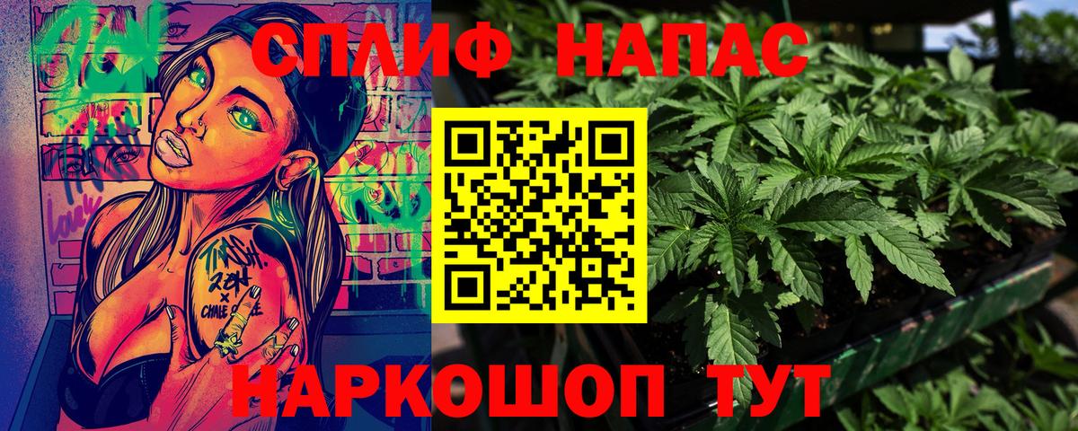 Бошки Шишки MAZAR Черкесск